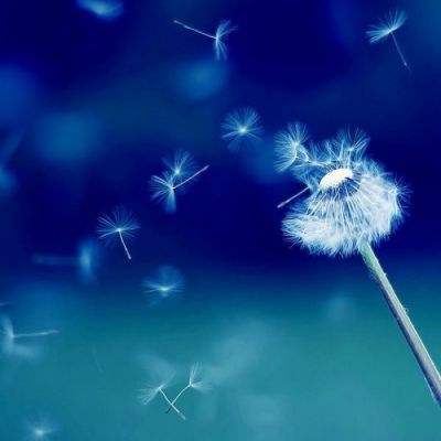 突然爆火，“一天一个价”！回收商：屏幕全碎、不能开机也收