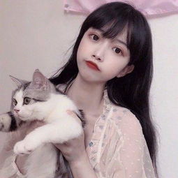 新添荣誉！莱姆电子荣获麦田能源...