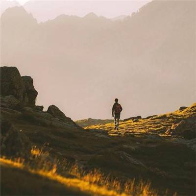 特朗普将任命扎克伯格、埃里森、黄仁勋加入科技顾问委员会